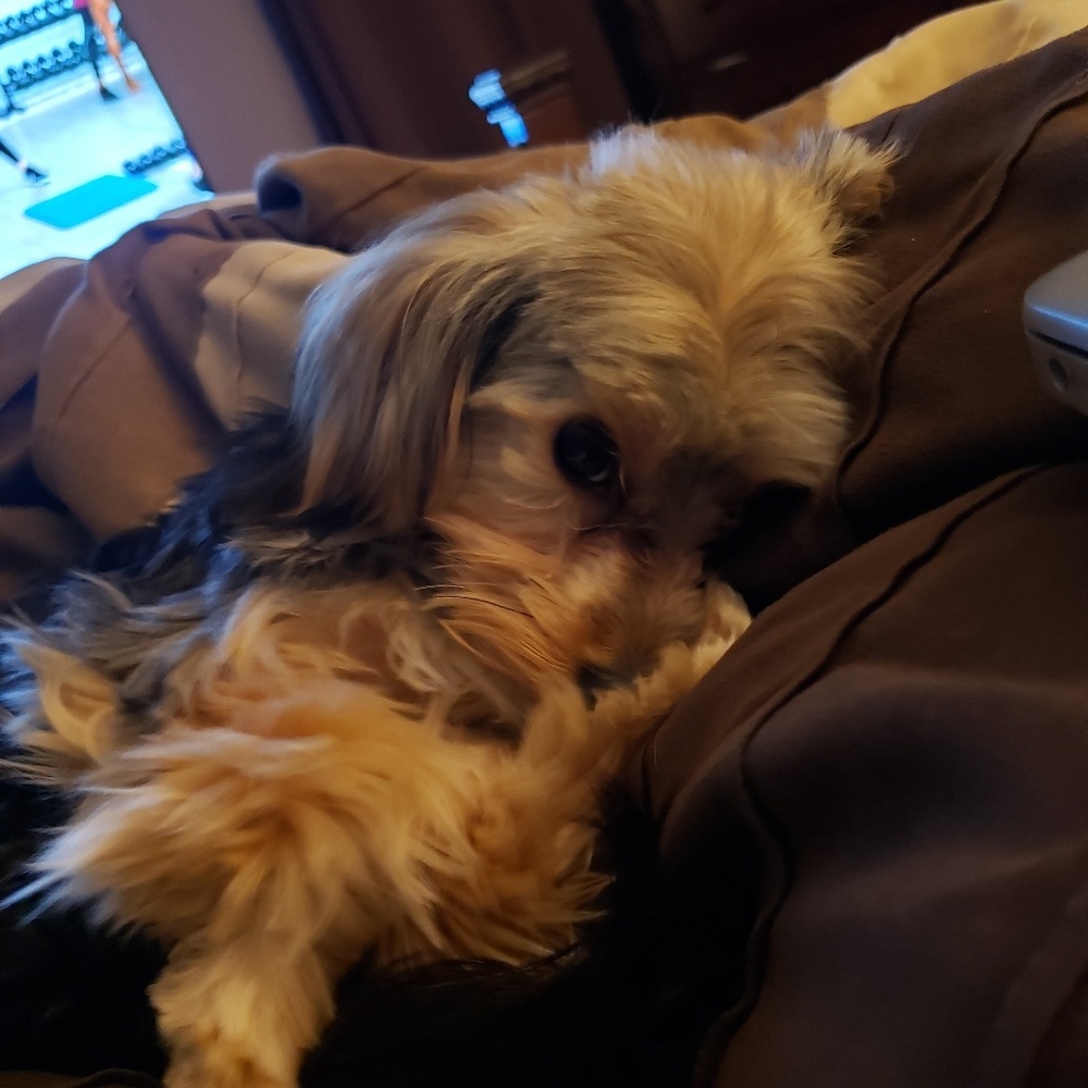 PLEASE READ - Picture 2 of 6